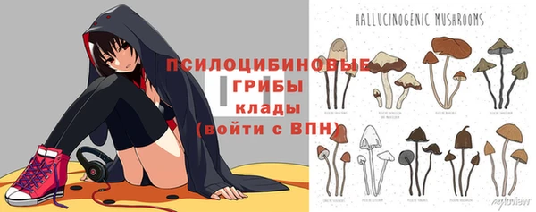 бошки Аркадак