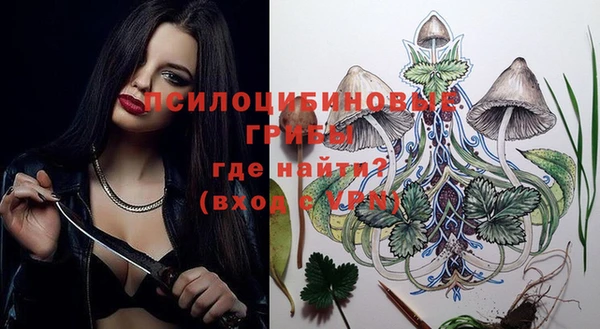бошки Аркадак