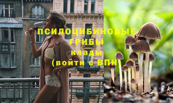бошки Аркадак