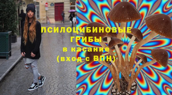 бошки Аркадак