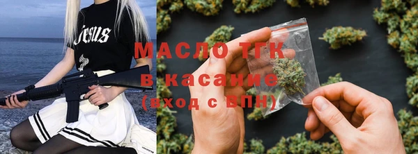 гидра Верхний Тагил