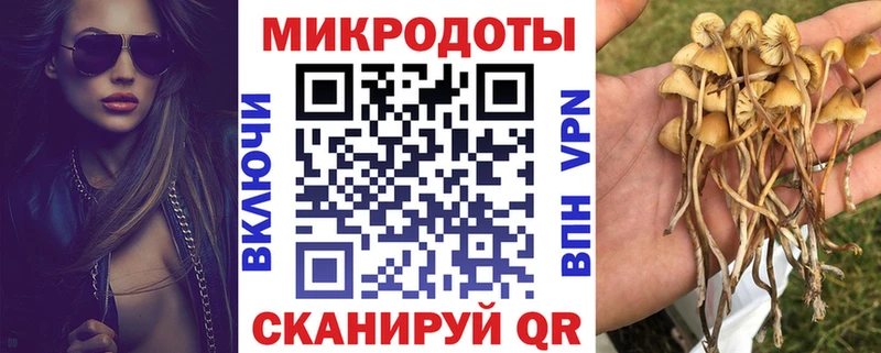 Псилоцибиновые грибы мухоморы купить наркотики цена Заозёрный