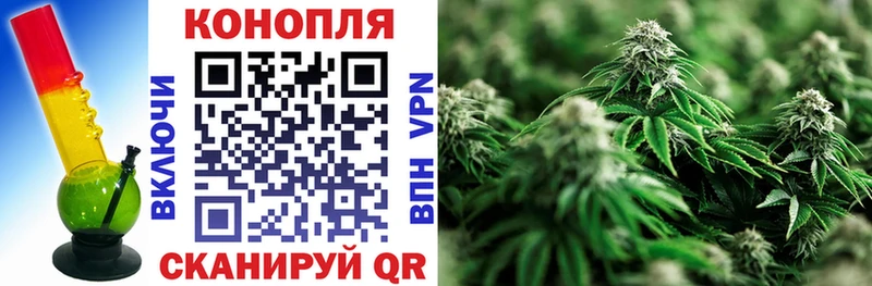 Конопля сатива omg ТОР Заозёрный